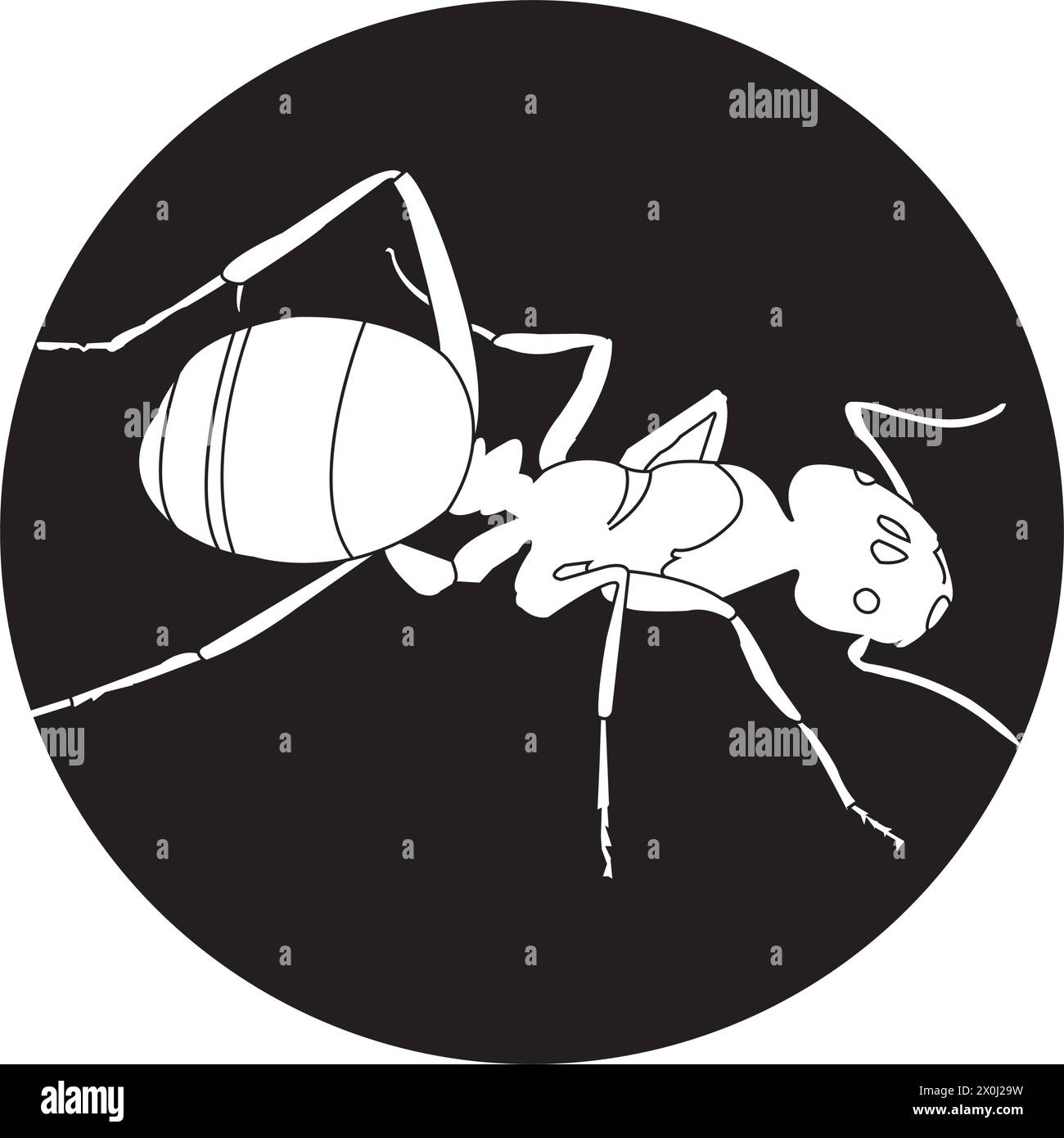 Symbole vectoriel de signe d'icône de fourmi.illustration vectorielle Illustration de Vecteur