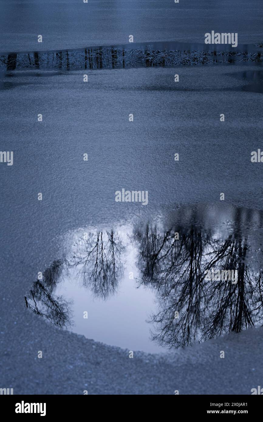 La glace se formant sur un lac, les arbres enneigés se reflètent dans l'eau sombre, en Allemagne Banque D'Images