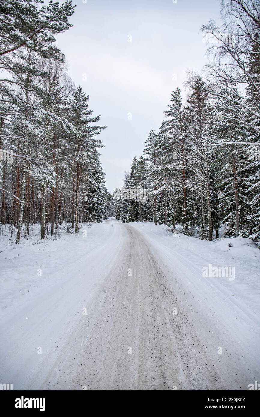 Paysage hivernal enneigé, une route à travers une forêt de pins et d'épicéas enneigés en Suède Banque D'Images