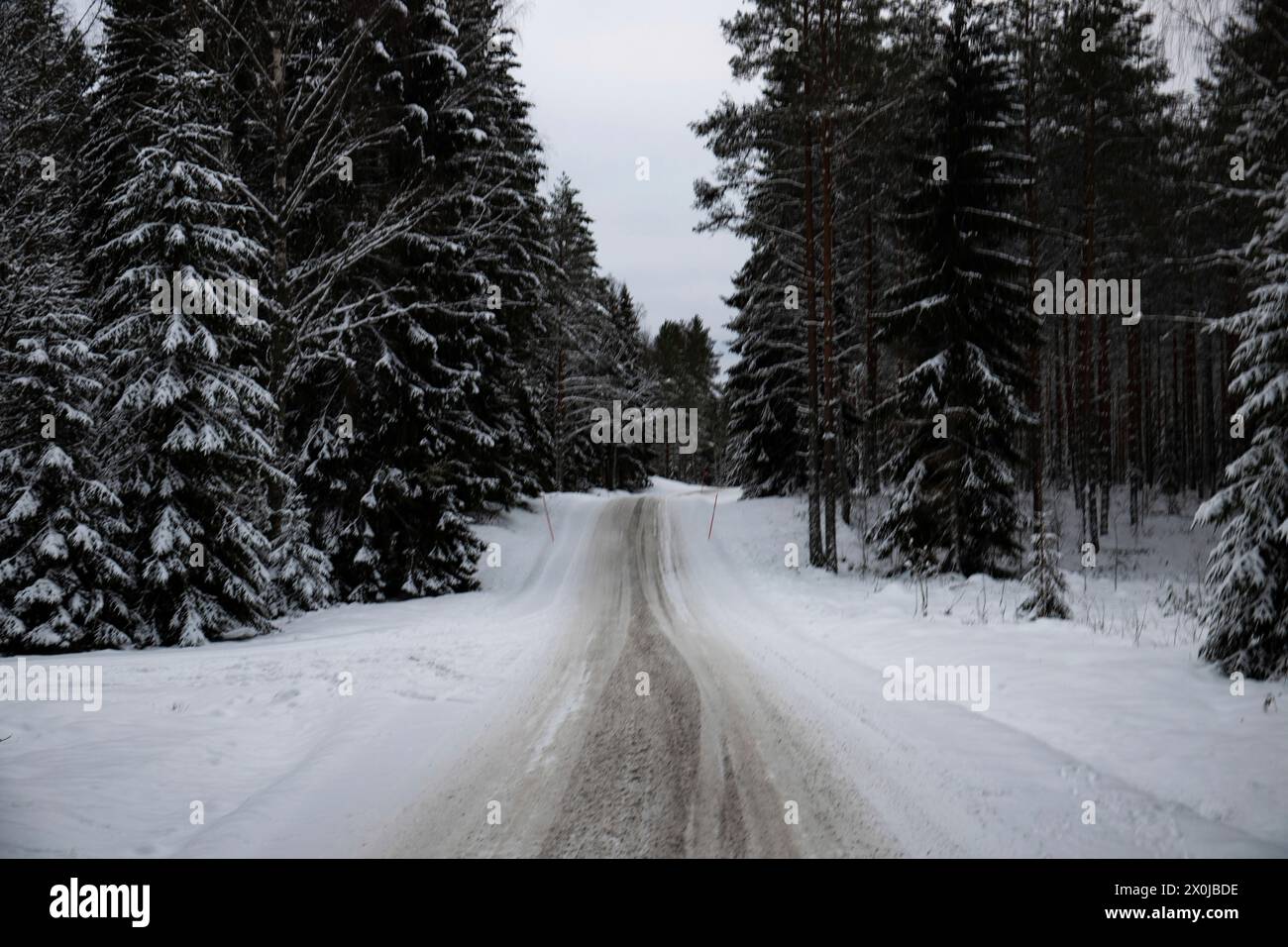 Paysage hivernal enneigé, une route à travers une forêt de pins et d'épicéas enneigés en Suède Banque D'Images