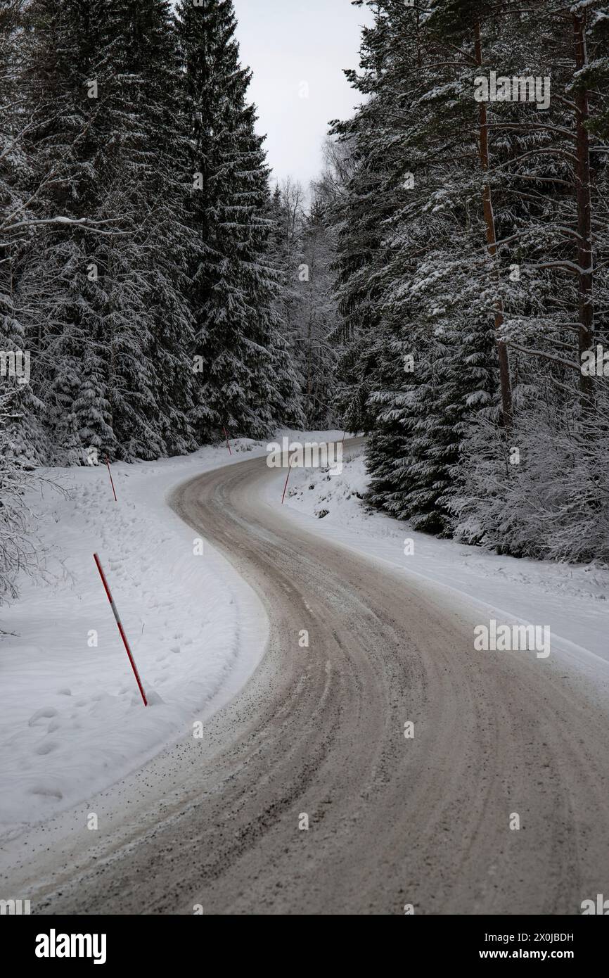 Paysage hivernal enneigé, une route à travers une forêt de pins et d'épicéas enneigés en Suède Banque D'Images