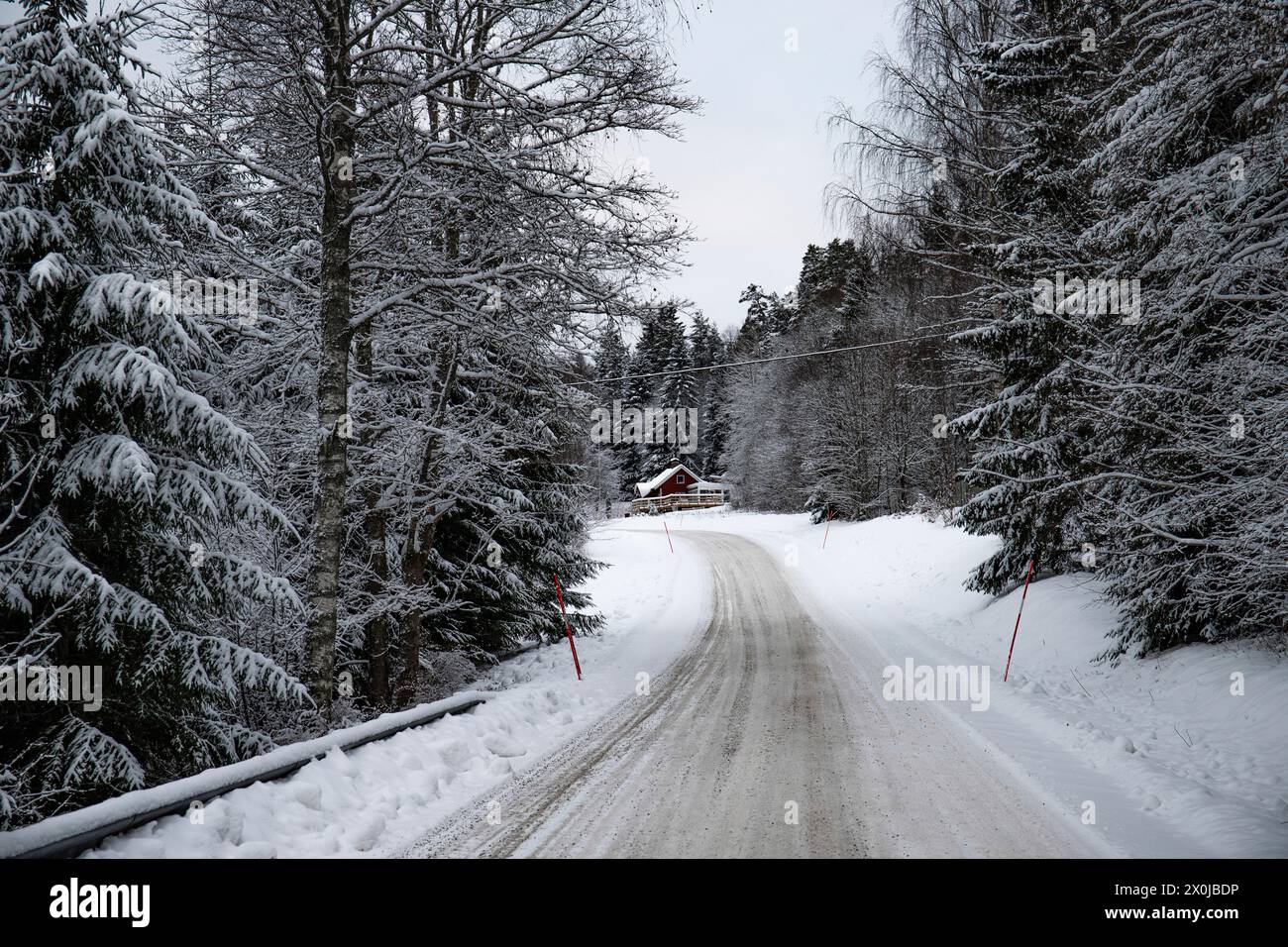 Paysage hivernal enneigé, une route à travers une forêt de pins et d'épicéas enneigés en Suède Banque D'Images