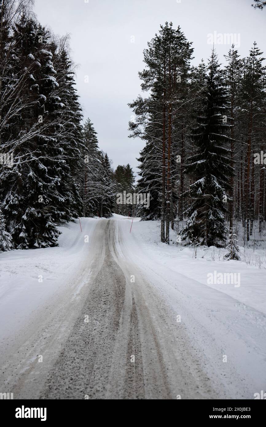 Paysage hivernal enneigé, une route à travers une forêt de pins et d'épicéas enneigés en Suède Banque D'Images