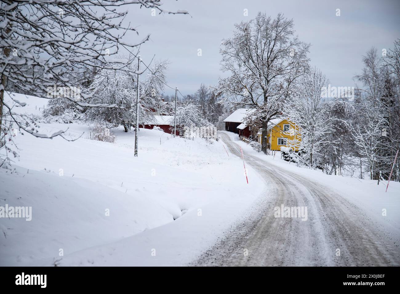 Maison suédoise typique. Maison en bois dans un paysage d'hiver avec de la glace et de la neige. Petite colonie au milieu d'une forêt enneigée. Paysage photographié en Suède Banque D'Images