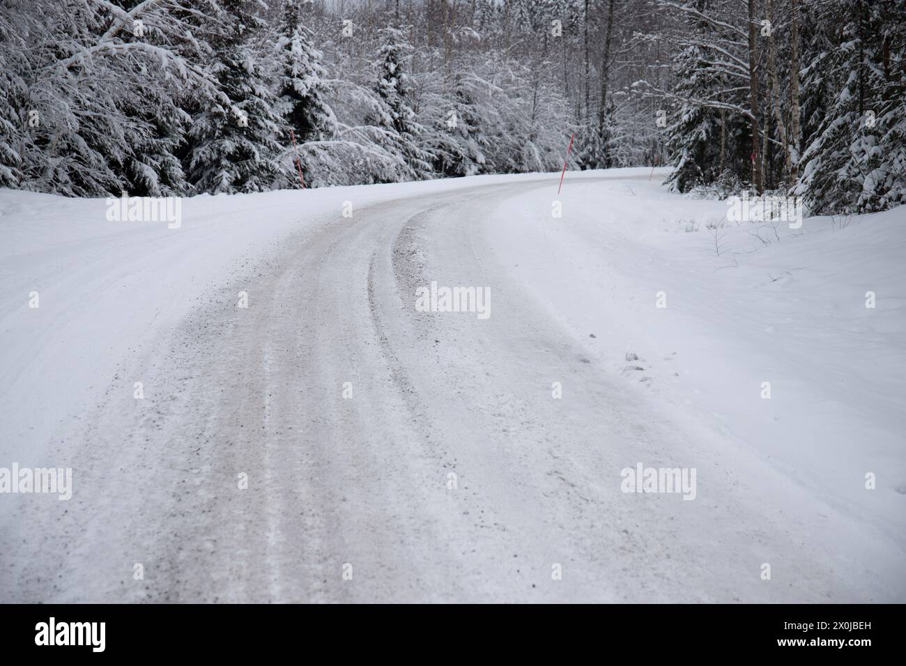 Paysage hivernal enneigé, une route à travers une forêt de pins et d'épicéas enneigés en Suède Banque D'Images