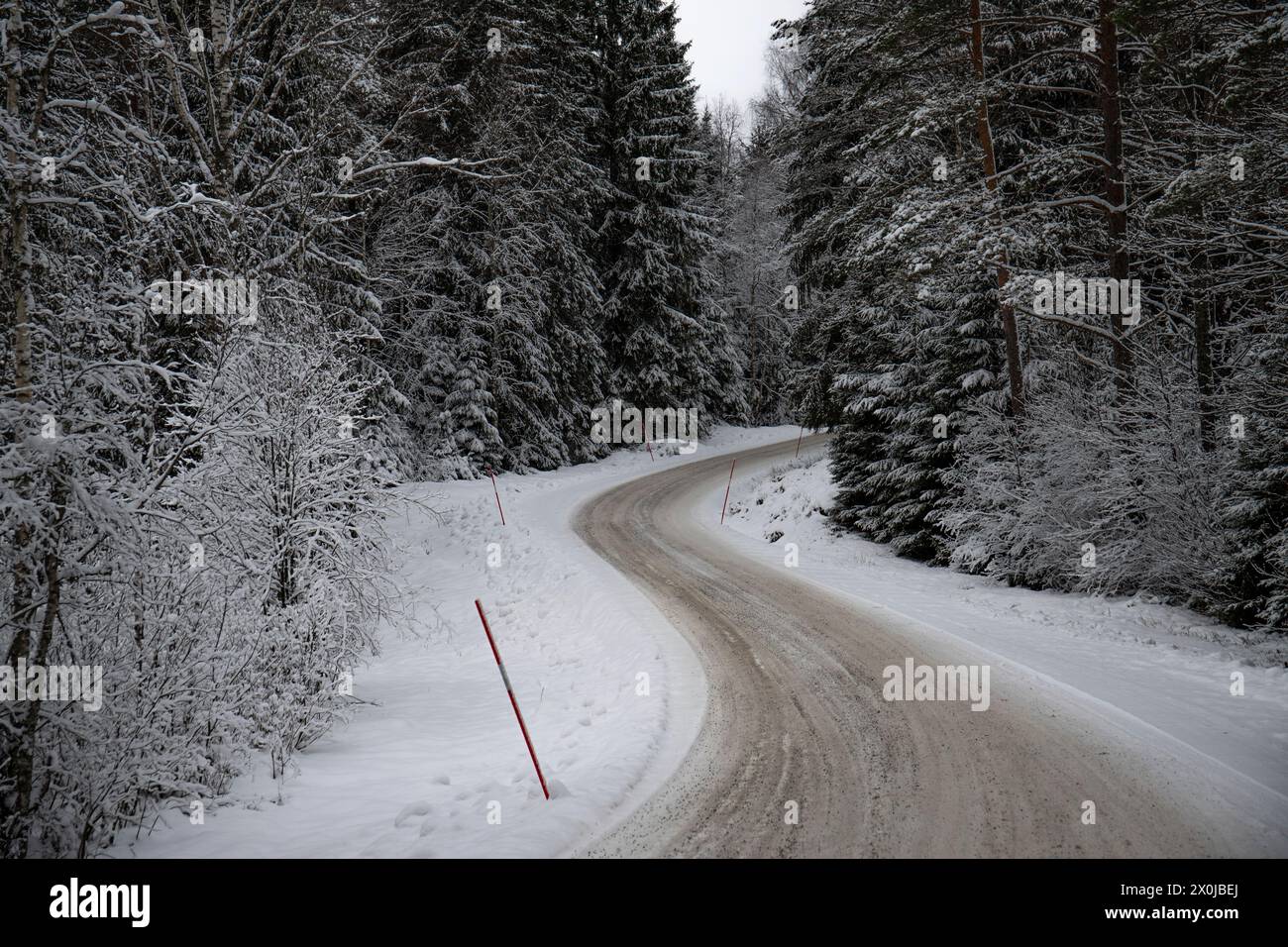 Paysage hivernal enneigé, une route à travers une forêt de pins et d'épicéas enneigés en Suède Banque D'Images