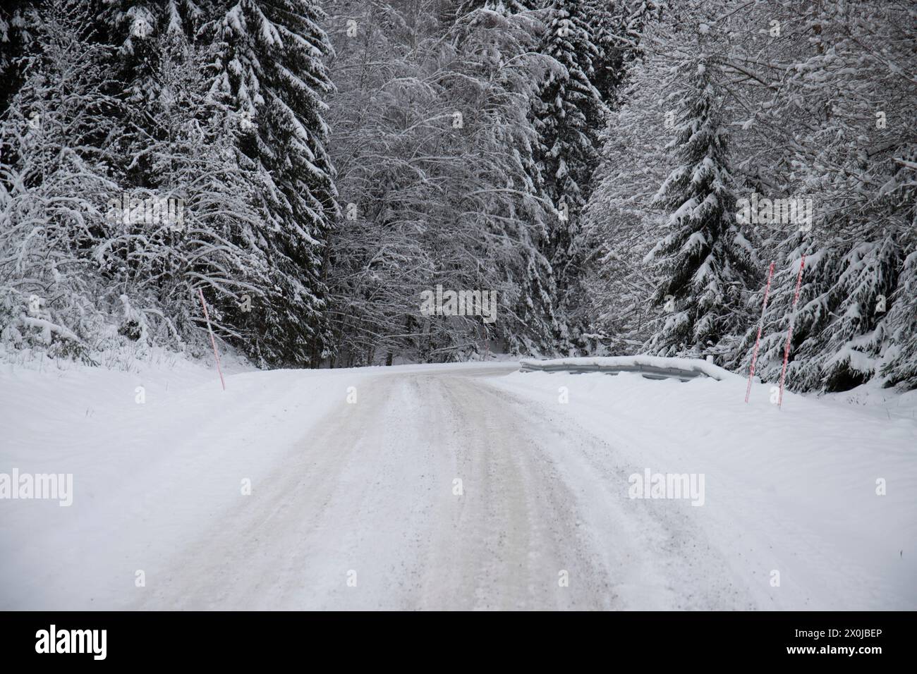 Paysage hivernal enneigé, une route à travers une forêt de pins et d'épicéas enneigés en Suède Banque D'Images