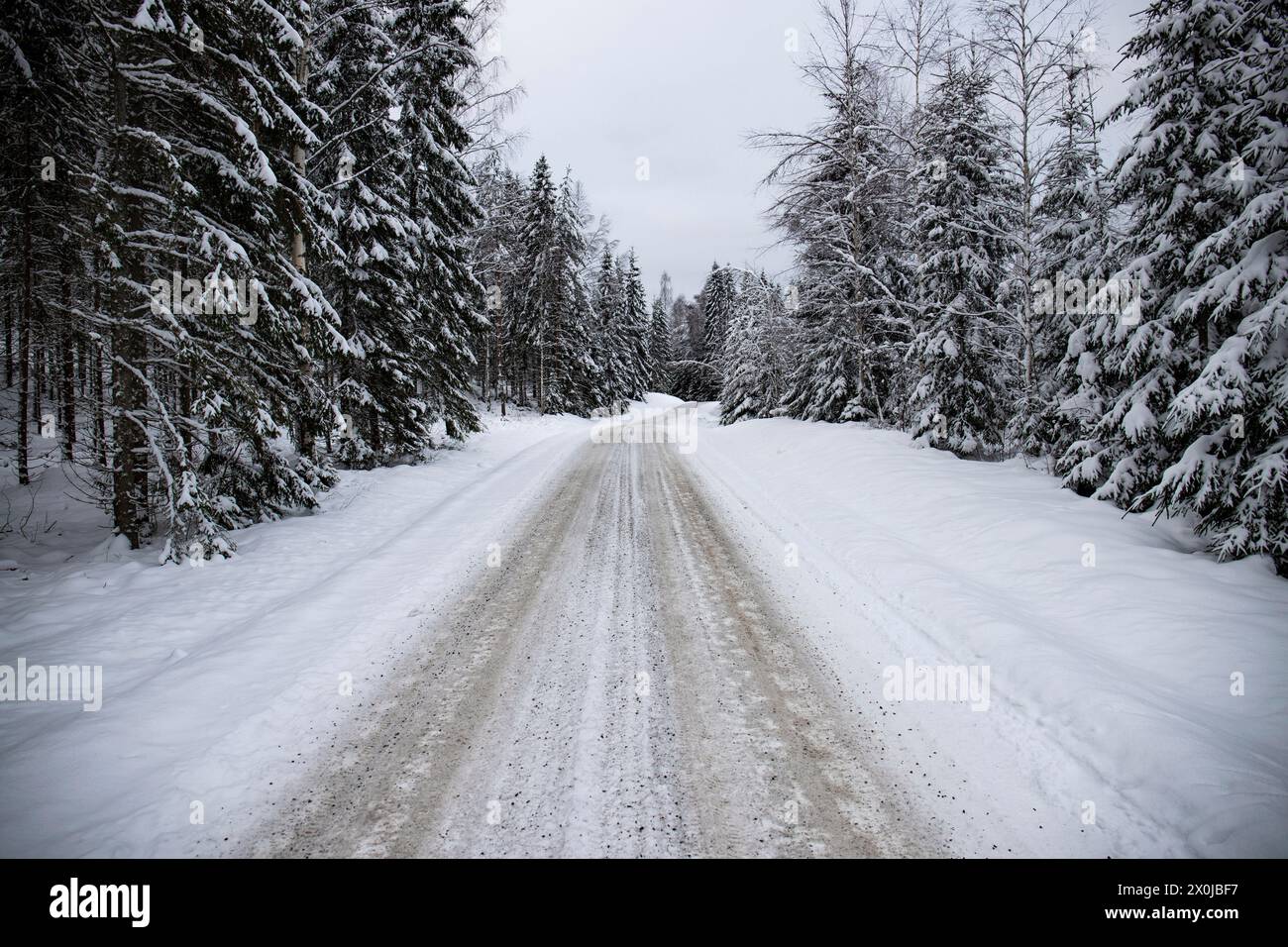 Paysage hivernal enneigé, une route à travers une forêt de pins et d'épicéas enneigés en Suède Banque D'Images