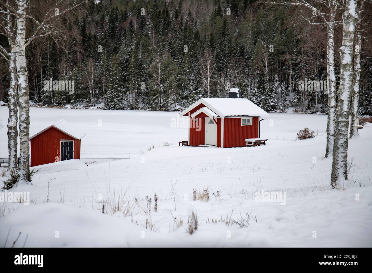 Maison suédoise rouge typique. Maison en bois dans un paysage d'hiver avec de la glace et de la neige. Petite colonie au milieu d'une forêt enneigée. Paysage photographié en Suède Banque D'Images
