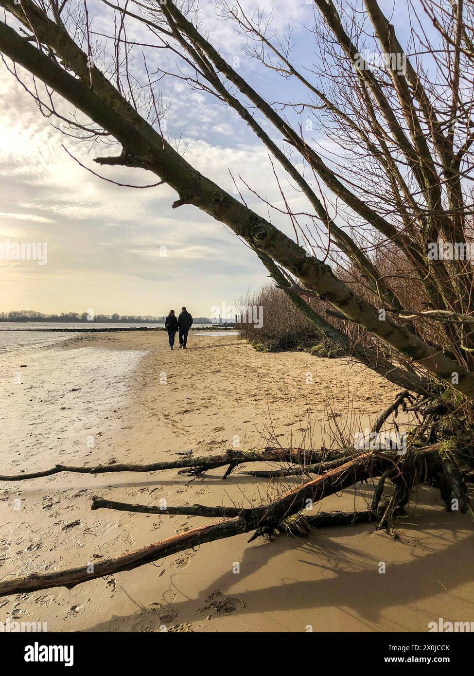 Elbe Beach, Wittenbergen, Hambourg, quartier, Rissen, Allemagne du Nord, Allemagne Banque D'Images