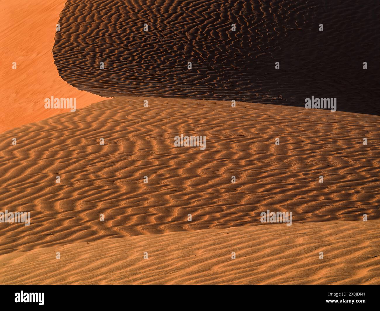Oman, sur la route dans les dunes du Rub-al-Khali, Banque D'Images