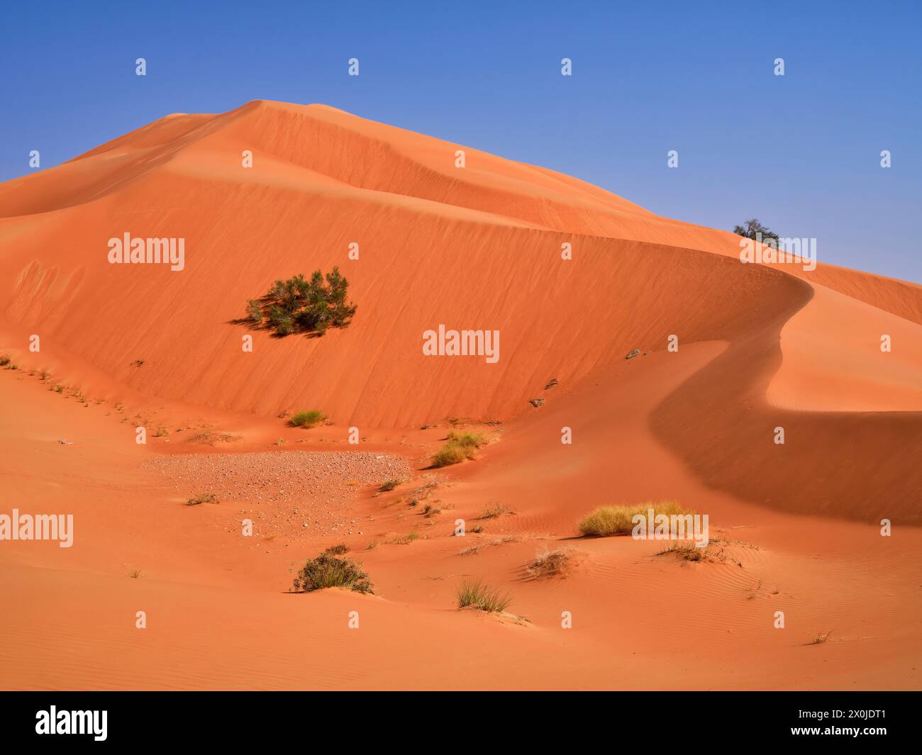 Oman, sur la route dans les dunes du Rub-al-Khali, Banque D'Images