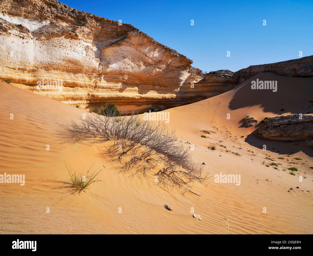 Sur la route dans la région désertique d'Al Huqf en Oman, Banque D'Images