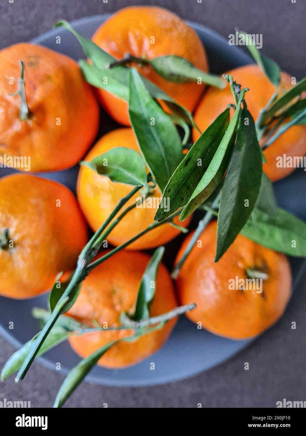 La clémentine ou mandarine de fruit orange avec des feuilles repose sur une plaque grise avec d'autres clémentines pour la consommation Banque D'Images