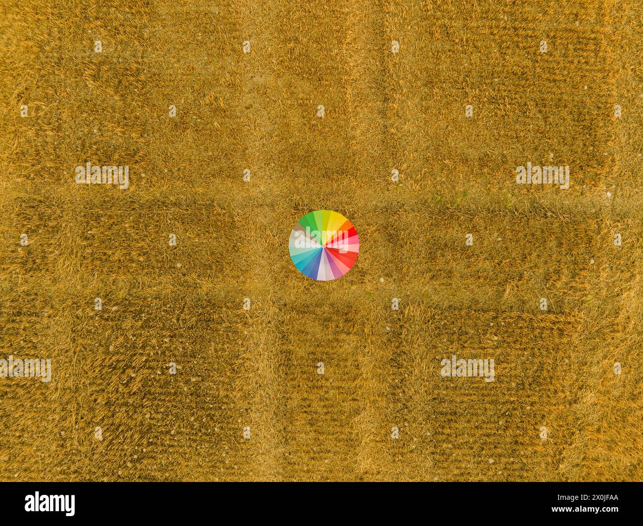 Avec le parapluie coloré sur un champ de chaume, champ de maïs, paille, contraste Banque D'Images