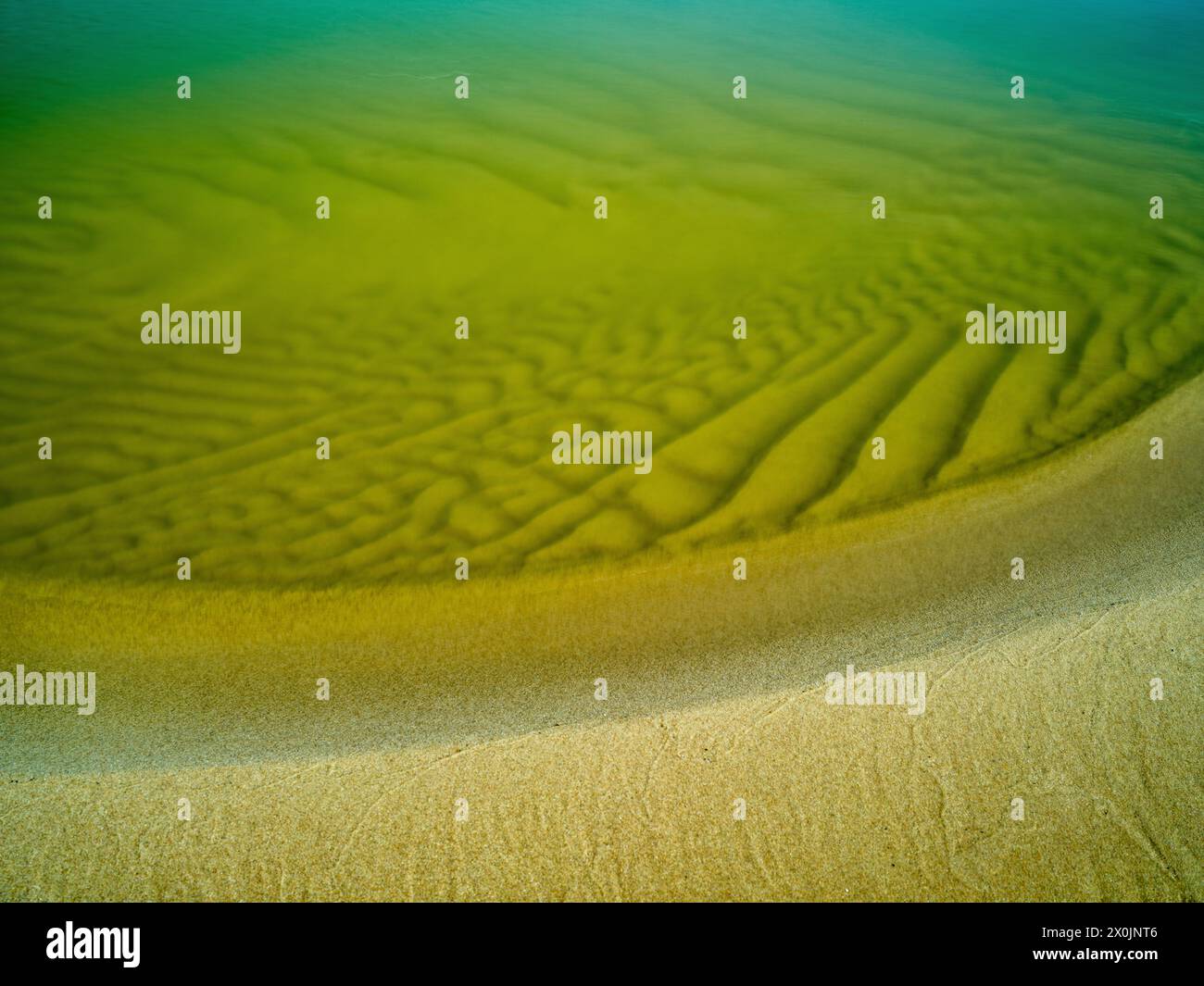 Promenez-vous le long de la Grande dune à Nida sur la Cronian Spit, Lituanie Banque D'Images