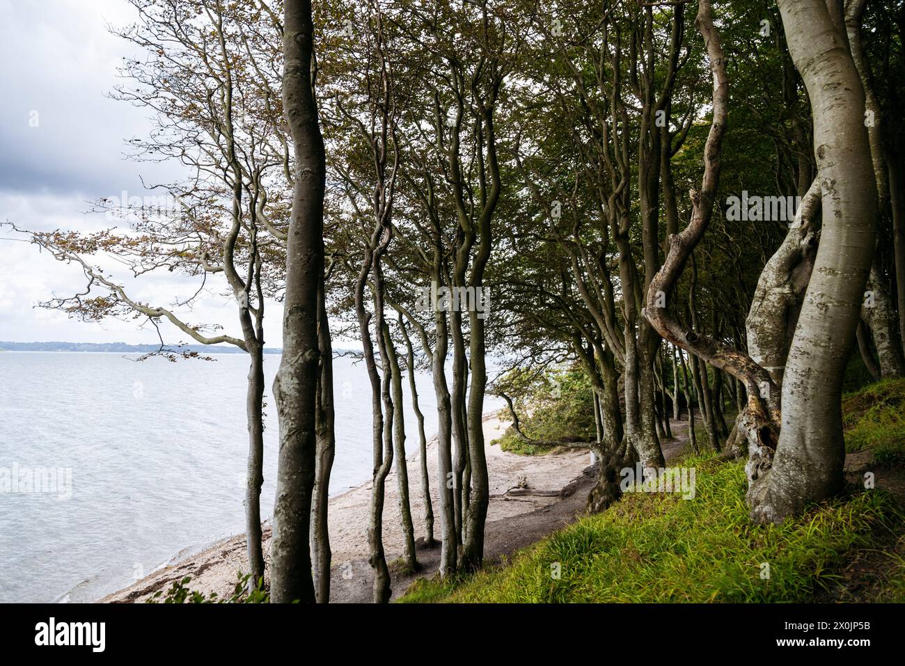 Marchez en août dans la vallée du printemps à Glücksburg sur la mer Baltique Banque D'Images