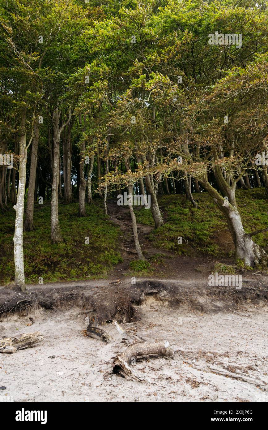 Marchez en août dans la vallée du printemps à Glücksburg sur la mer Baltique Banque D'Images