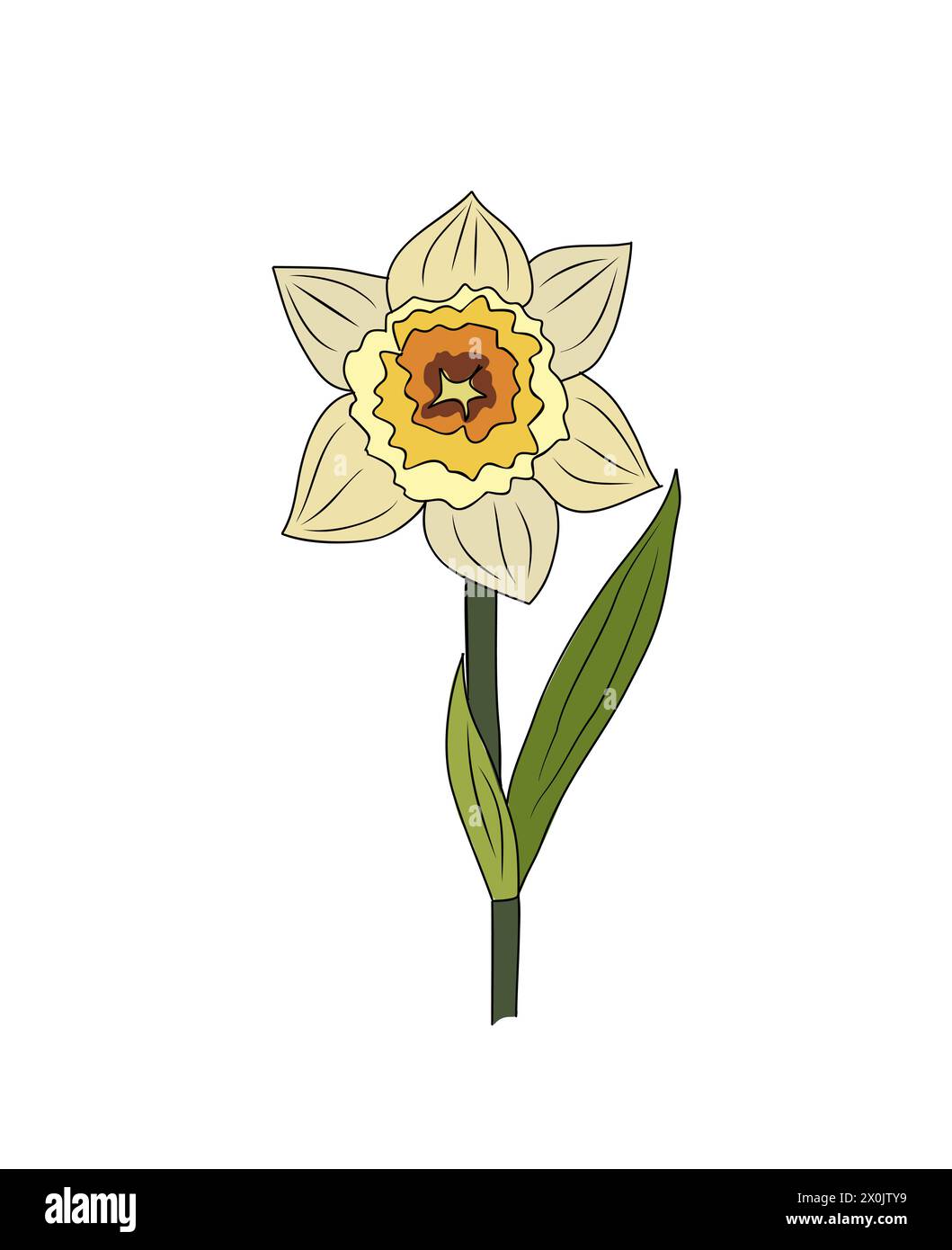 Daffodil, mars mois de naissance vecteur de fleur optimisé Illustration de Vecteur