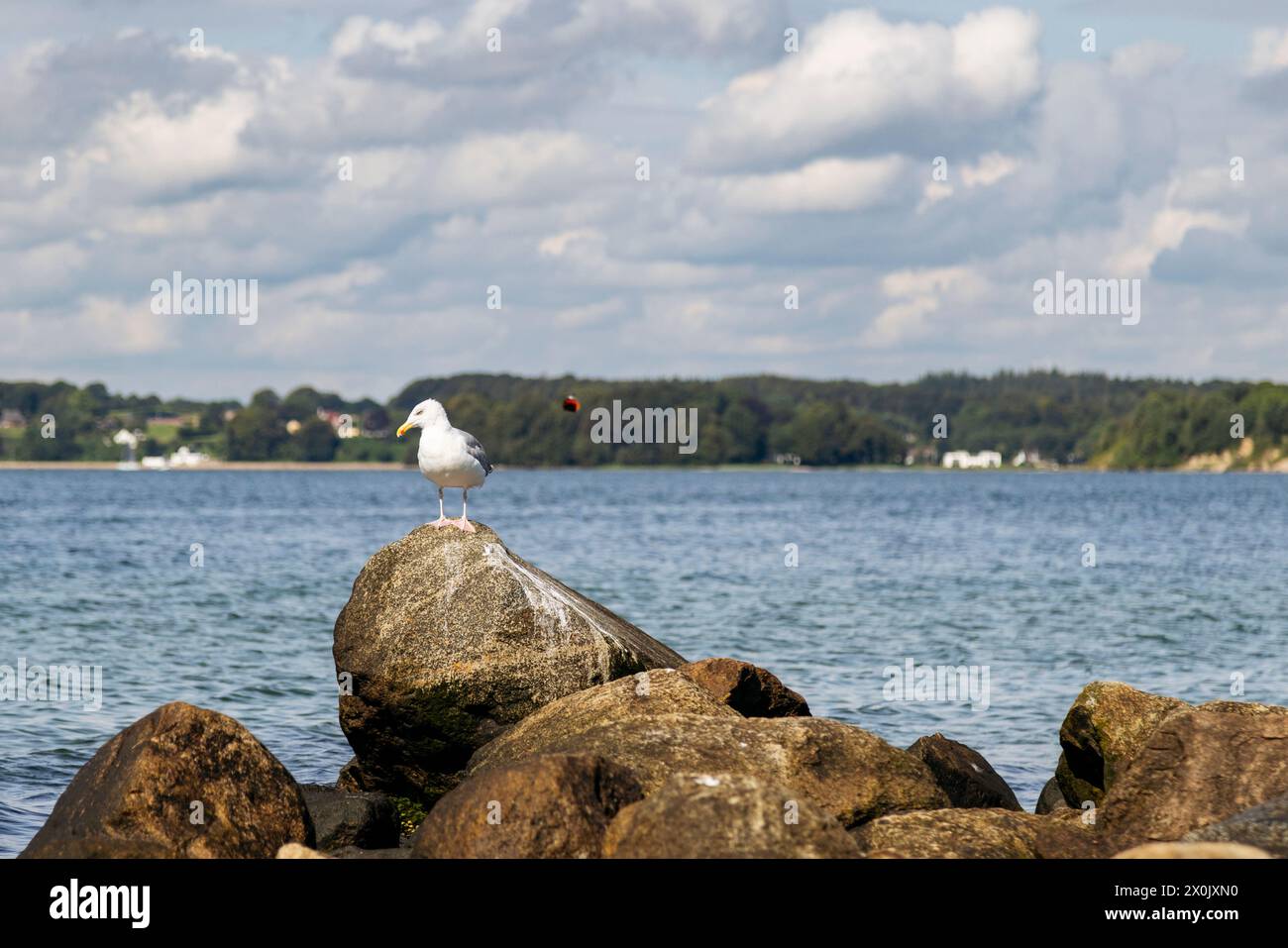 Glücksburg Sandwig, promenade sur la plage Banque D'Images