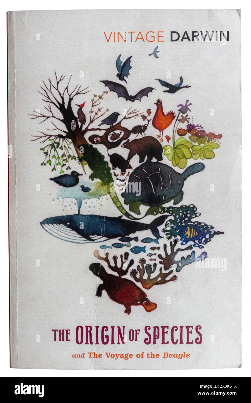 Livre The Origin of Species de Charles Darwin Banque D'Images