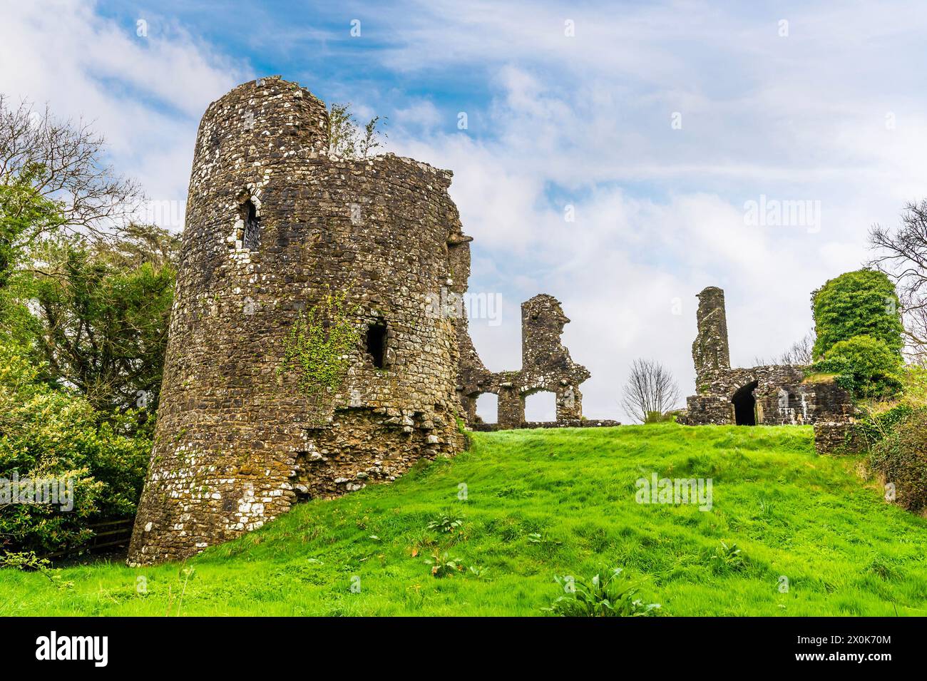 Une vue vers le côté sud-ouest des ruines du château à Narberth, Pemborkeshire, pays de Galles au printemps Banque D'Images