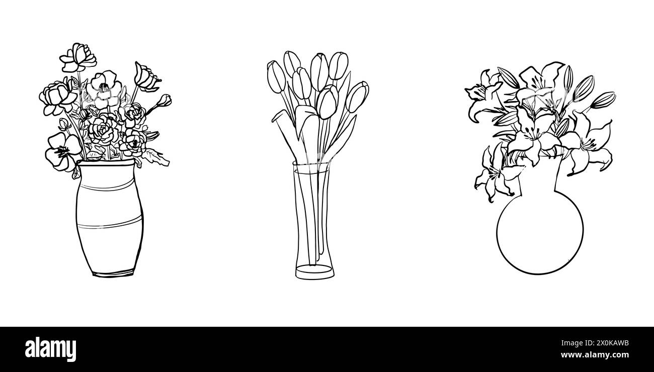 Le dessin au trait brille dans le vase. Tulipe, lilie, croquis d'anémone Illustration de Vecteur