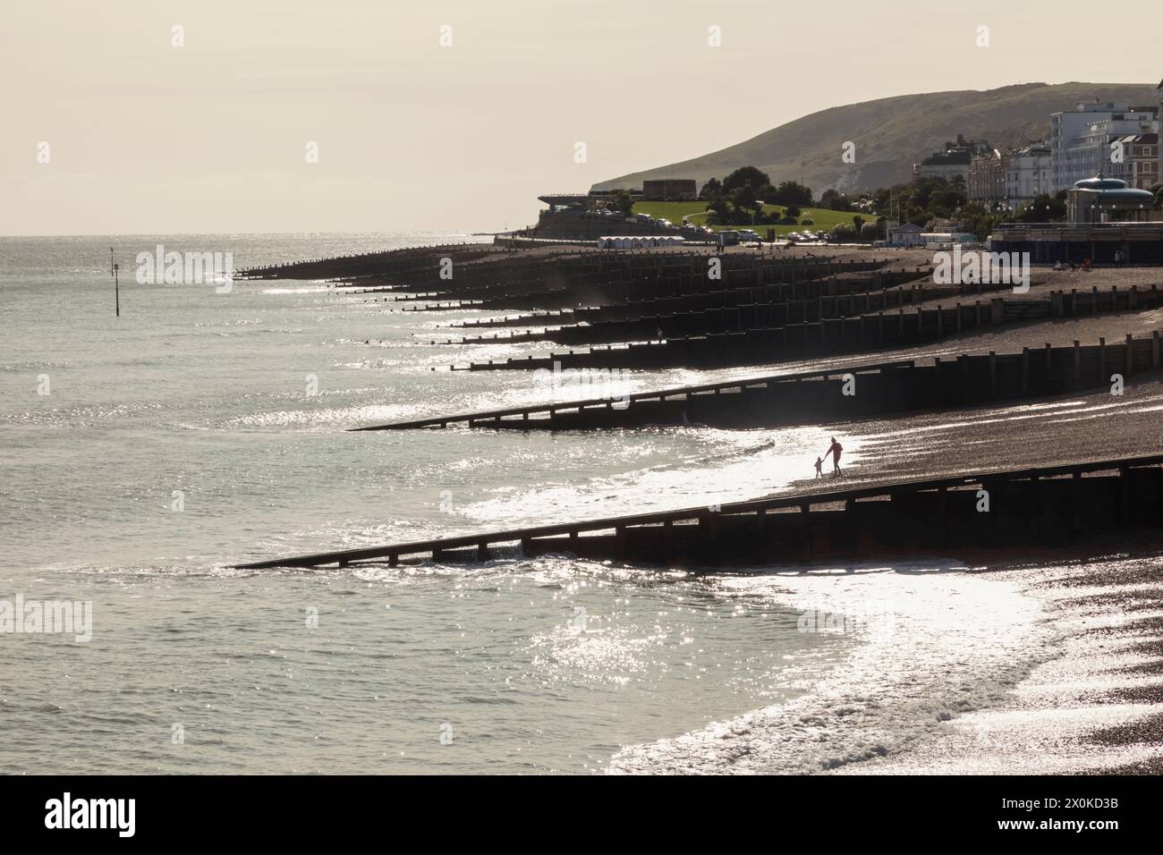 Angleterre, East Sussex, Eastbourne, vue sur la plage et groynes Banque D'Images