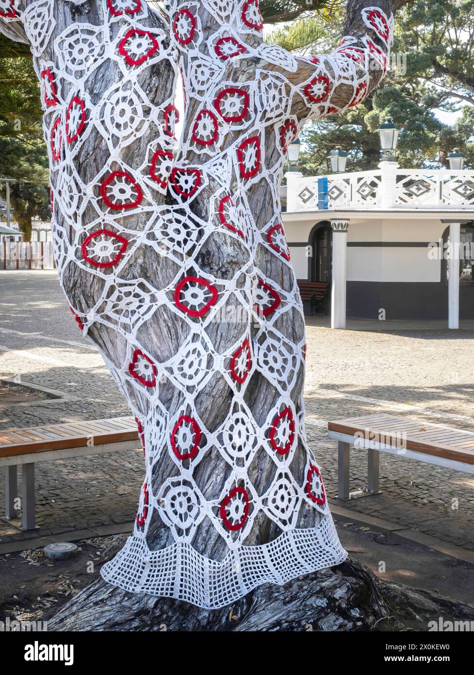 Açores, décorations de festival, île de Graciosa, dentelle sur arbre, Portugal, ville de Santa Cruz da Graciosa Banque D'Images