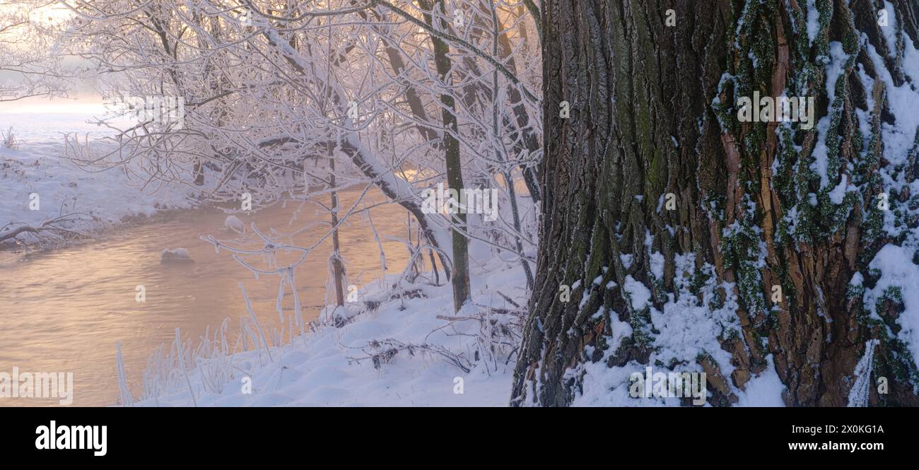 Europe, Allemagne, Hesse, Hesse centrale, arrière-pays, parc naturel de Lahn-Dill-Bergland, Dautphetal, ambiance hivernale sur le Lahn, ciel matinal, ambiance brumeuse, lever du soleil Banque D'Images