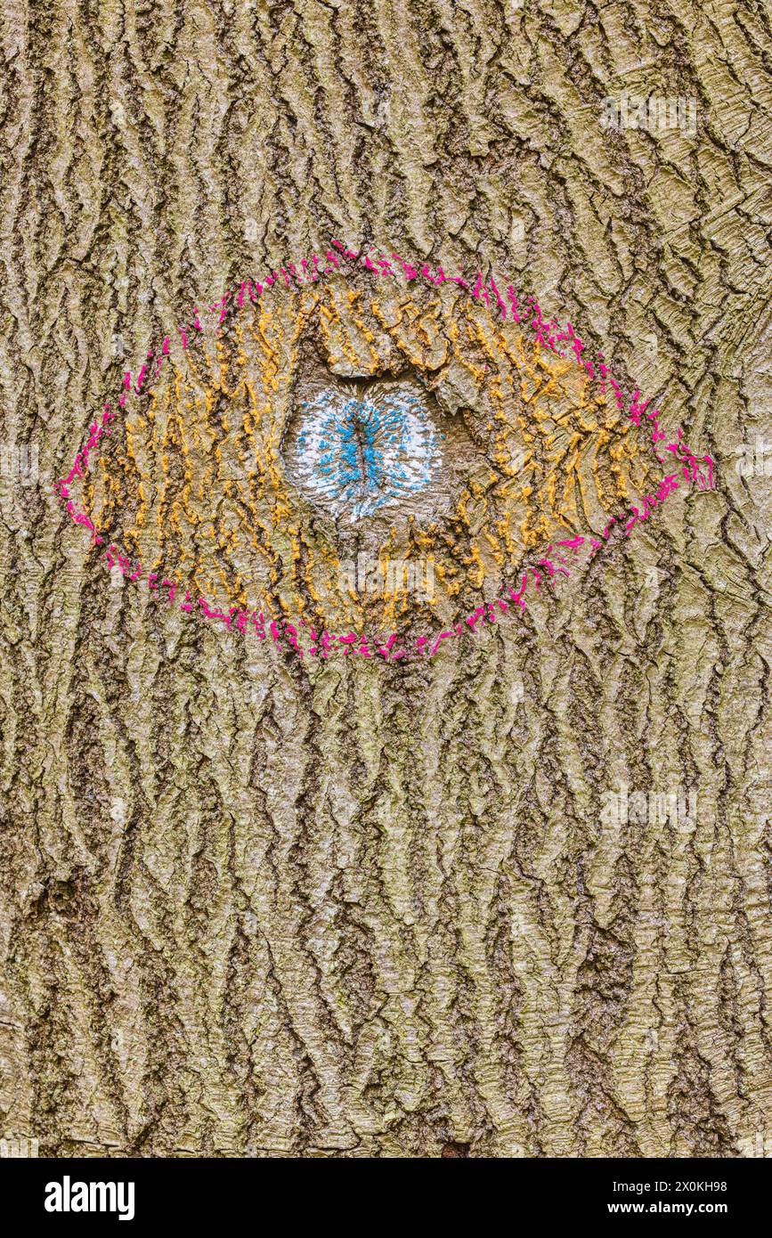Oeil peint sur un tronc d'arbre Banque D'Images