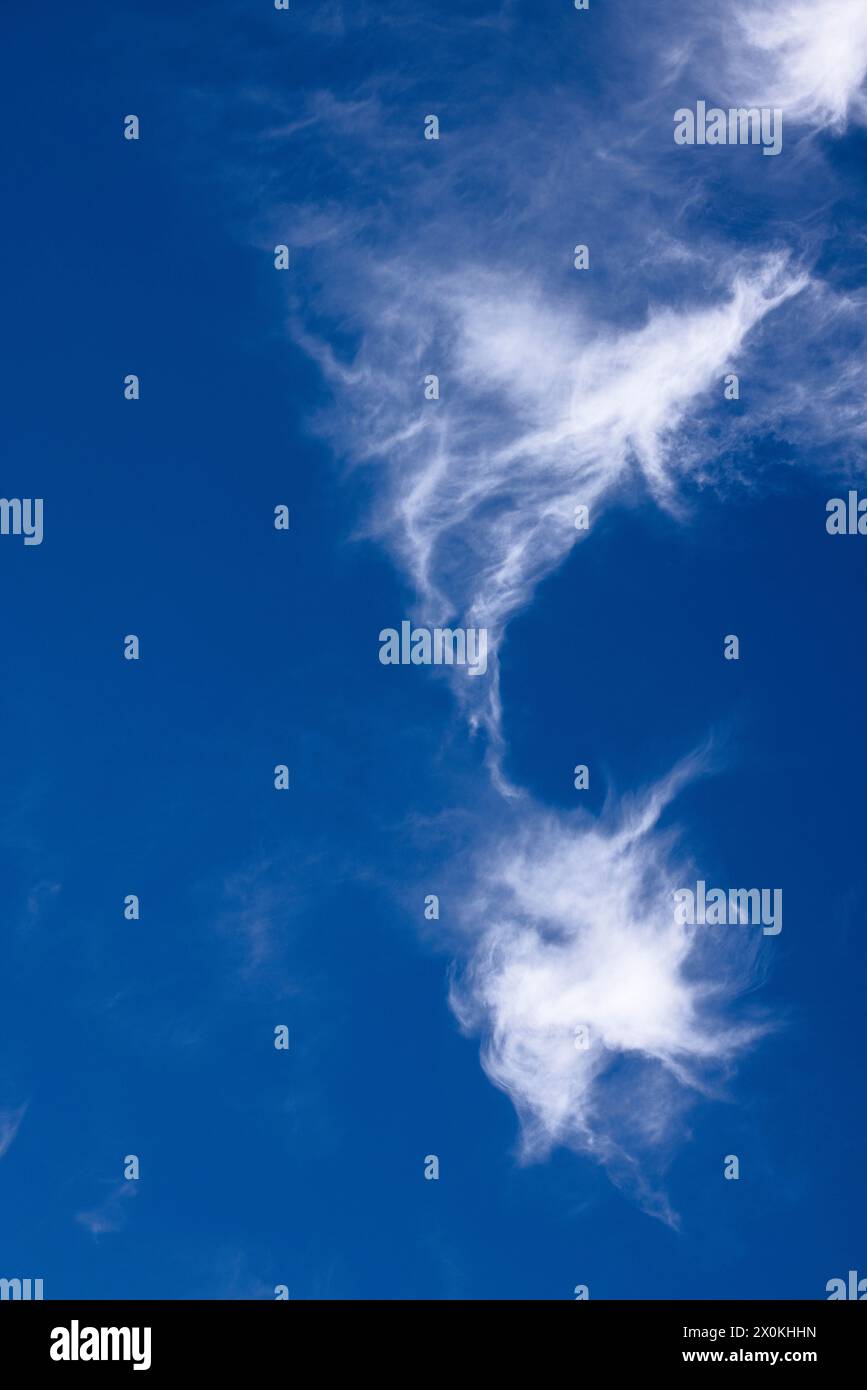 Nuages de cirrus volés par le vent dans le ciel bleu Banque D'Images