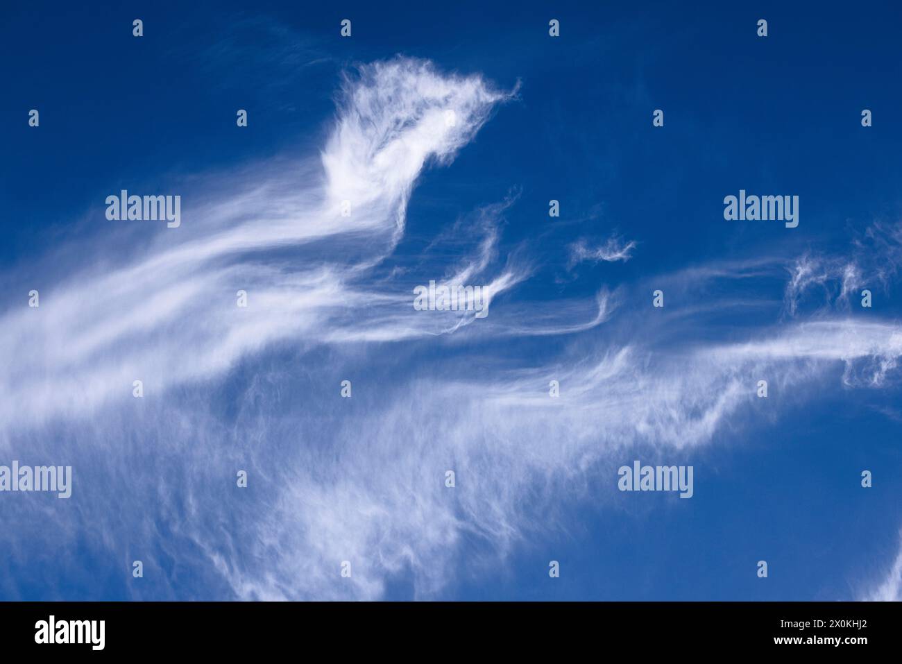 Nuages de cirrus volés par le vent dans le ciel bleu Banque D'Images