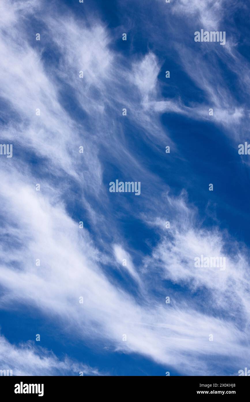 Nuages de cirrus volés par le vent dans le ciel bleu Banque D'Images