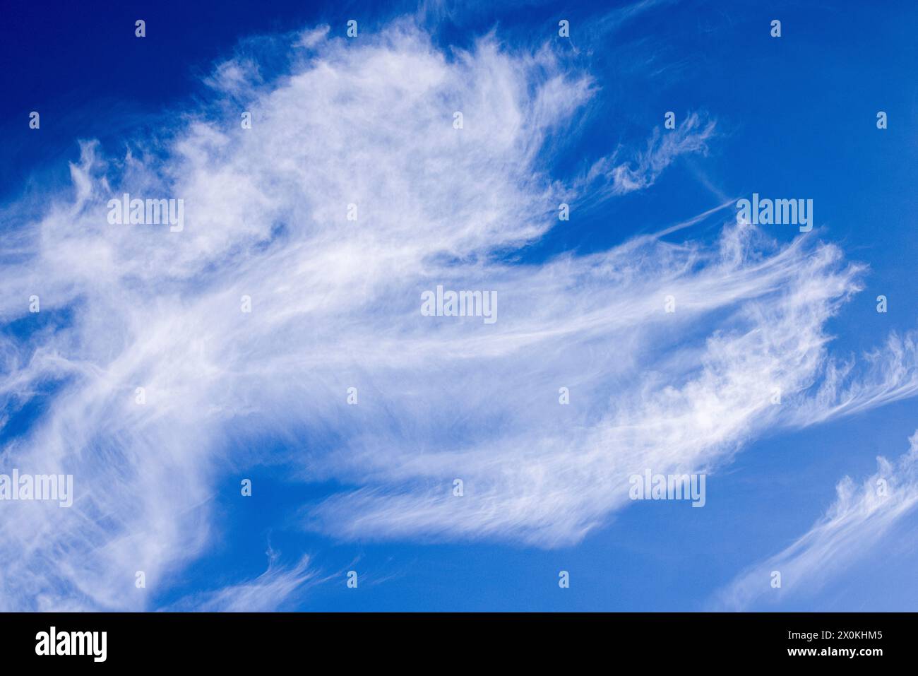 Nuages de cirrus volés par le vent dans le ciel bleu Banque D'Images