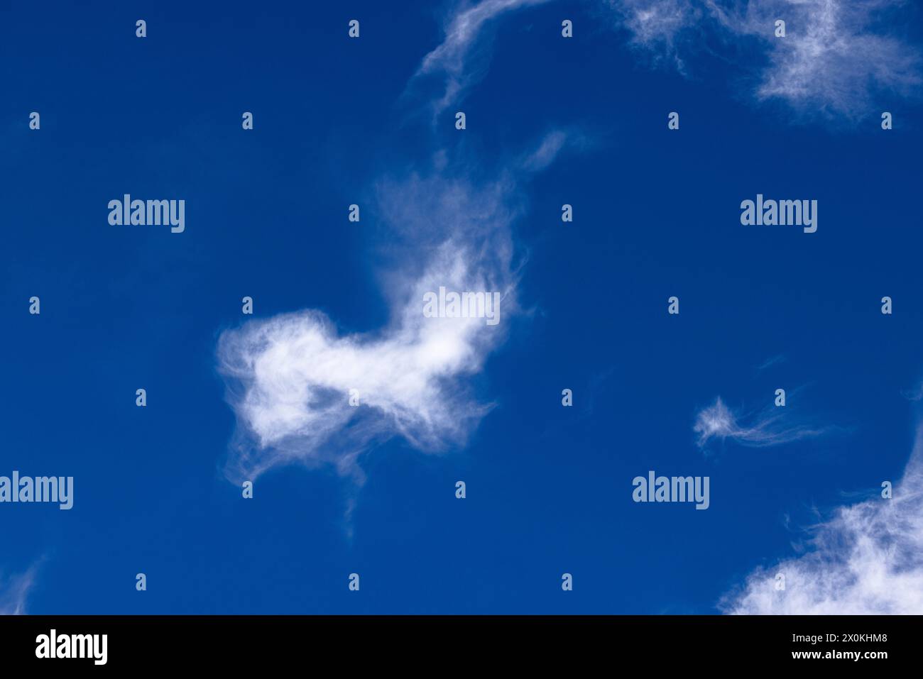Nuages de cirrus volés par le vent dans le ciel bleu Banque D'Images