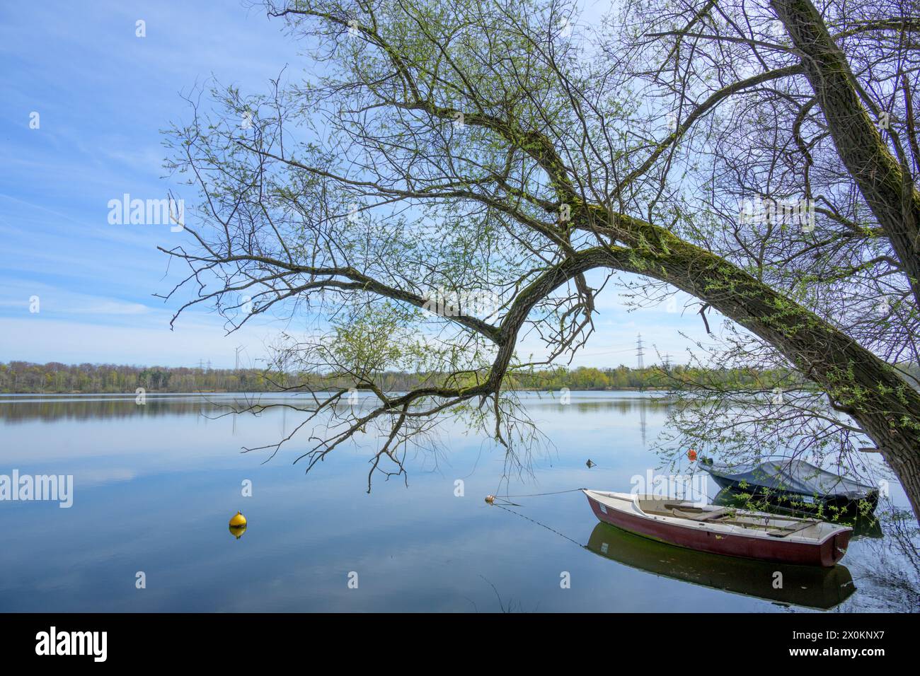 Allemagne, Bade-Württemberg, Karlsruhe, bateau à rames sur Knielinger See. Banque D'Images