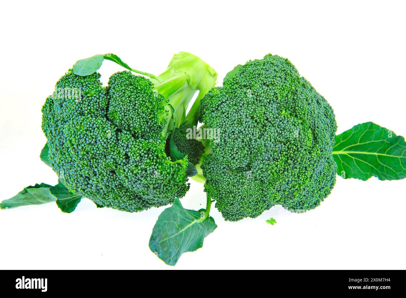 Légumes brocoli sur fond blanc Banque D'Images