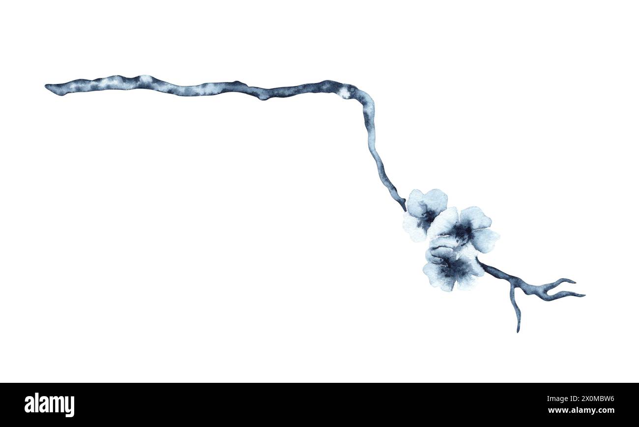 Illustration d'aquarelle de festival de printemps en fleurs de cerisier. Peinture sakura japonaise dessinée à la main isolée sur fond blanc. Bleu indigo monochrome Banque D'Images