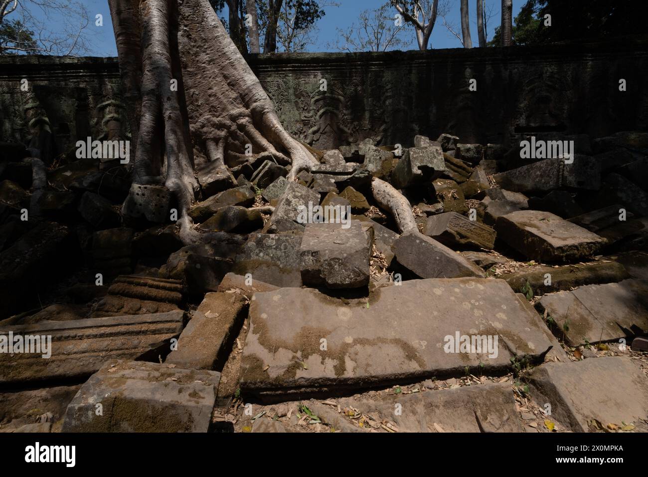 Angkor Thom, le meilleur site archéologique, Cambodge Banque D'Images