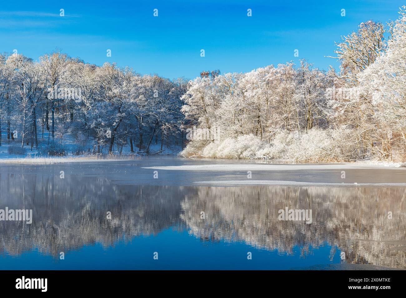 Un plan d'eau entouré d'arbres couverts de neige pendant l'hiver à Mölndal, Suède. Les arbres réfléchissent sur la rivière calme, créant un serein et wintr Banque D'Images