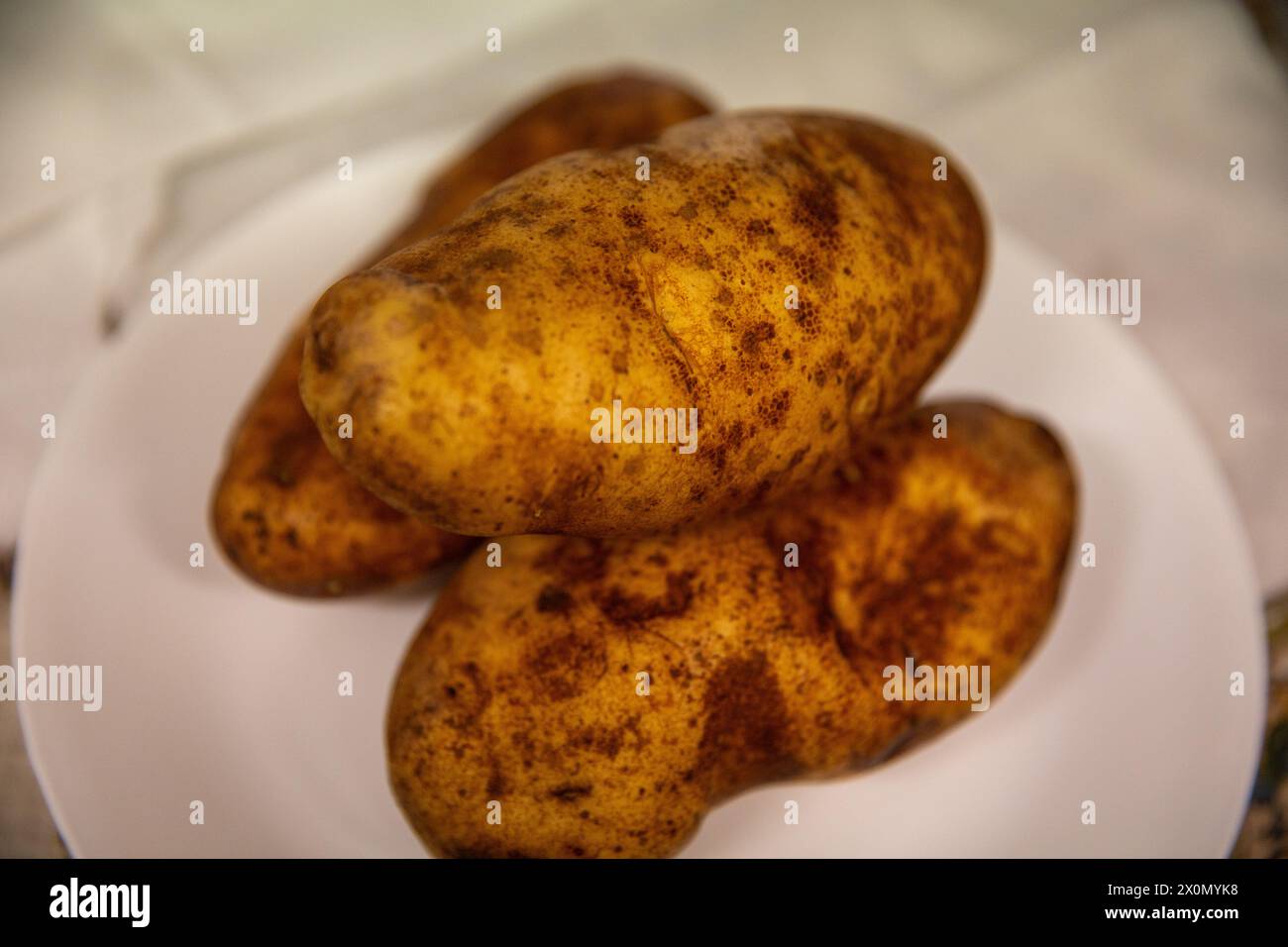 Trois pommes de terre Russet prêtes à être cuites Banque D'Images