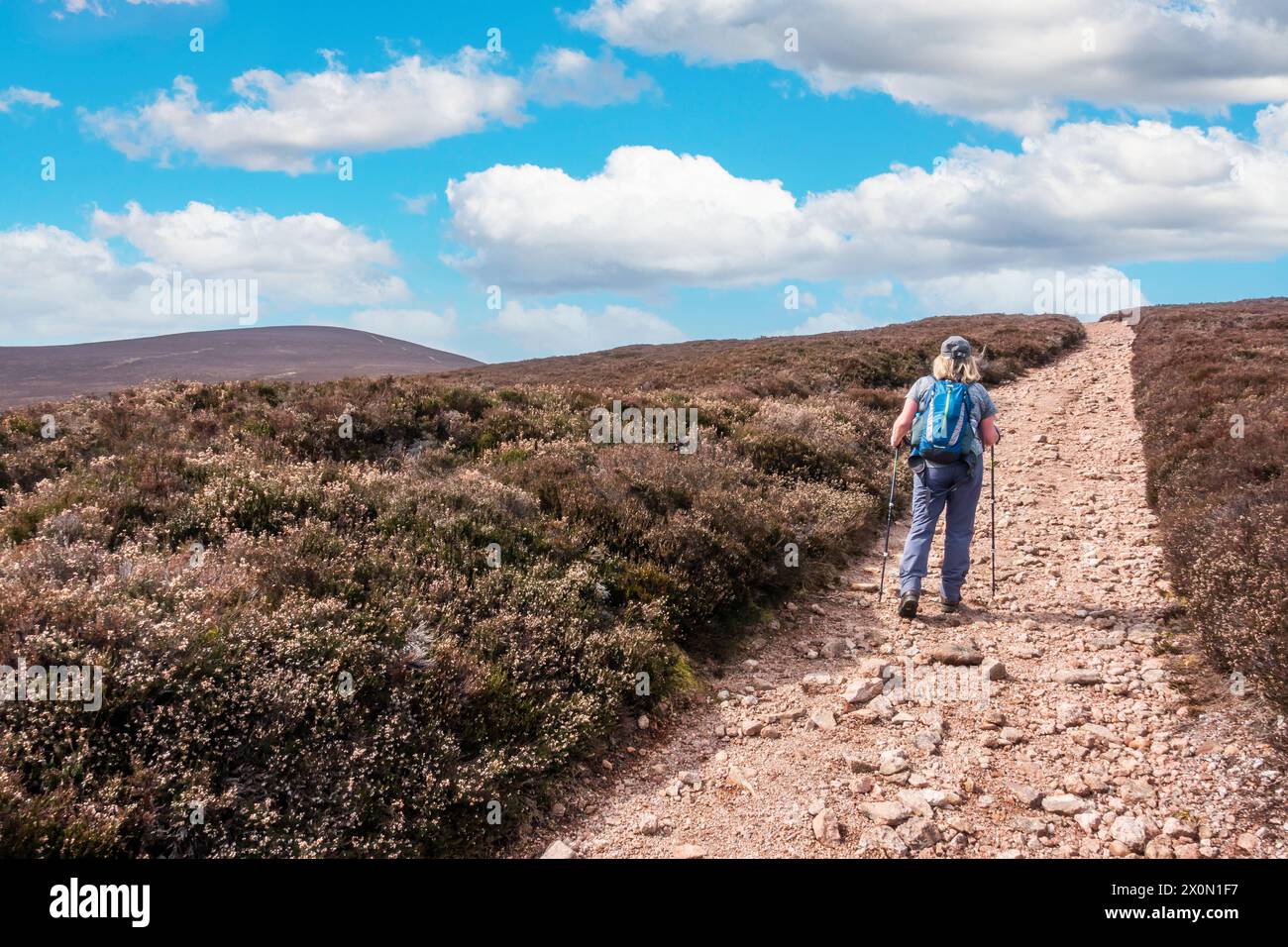 Un marcheur sur le chemin jusqu'à Peter Hill près de Finzean, Aberdeenshire, Écosse Banque D'Images