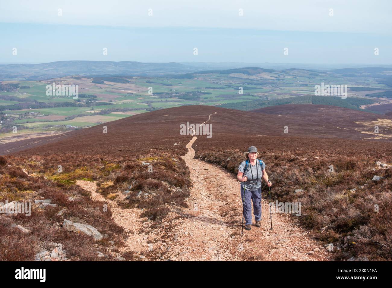 Un marcheur sur le chemin jusqu'à Peter Hill près de Finzean, Aberdeenshire, Écosse Banque D'Images