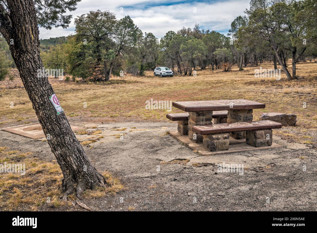 Table de pique-nique, camping-car à Lawrence Wood Picnic Area (camping dispersé autorisé), Madera Canyon, Davis Mountains, près de Fort Davis, Texas, ÉTATS-UNIS Banque D'Images