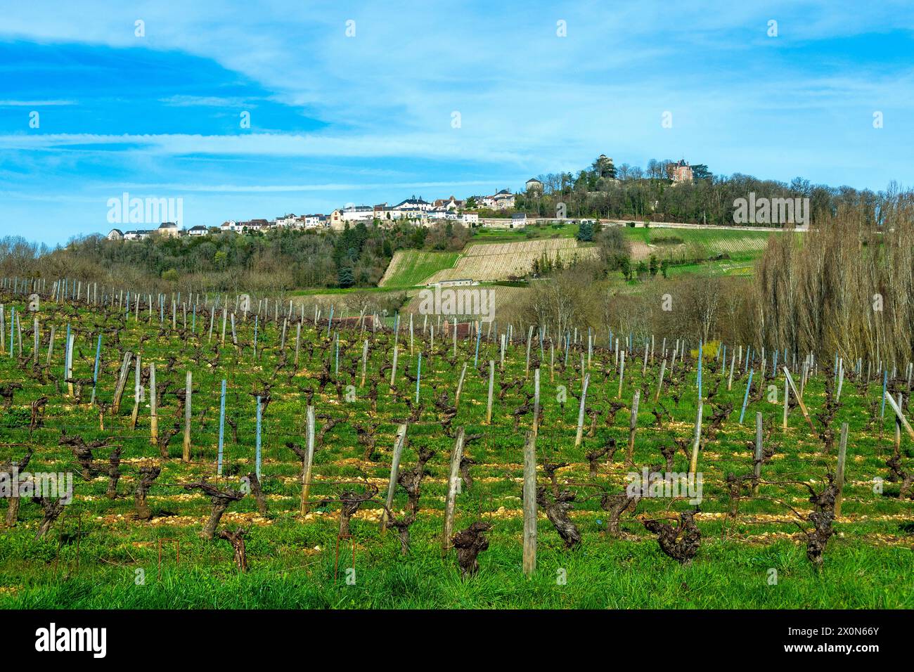 Sancerre labellisé les plus Beaux villages de France. Vue sur le village et son vignoble. Cher Department. Centre-Val de Loire. France. Europe Banque D'Images
