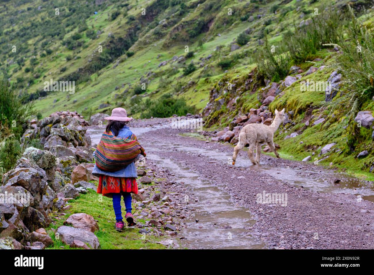 Pérou, province de Cuzco, Vallée sacrée des Incas, communauté des Andes, jeune fille quechua Banque D'Images