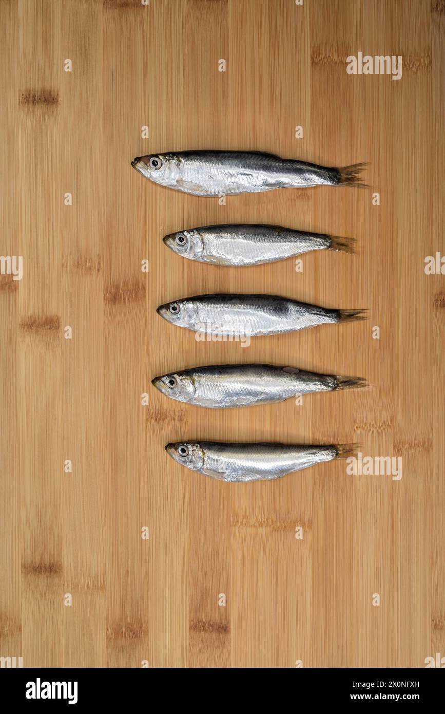 Poisson d'anchois frais sur fond de planche à découper en bois. Poisson cru préparé pour la cuisson. Banque D'Images