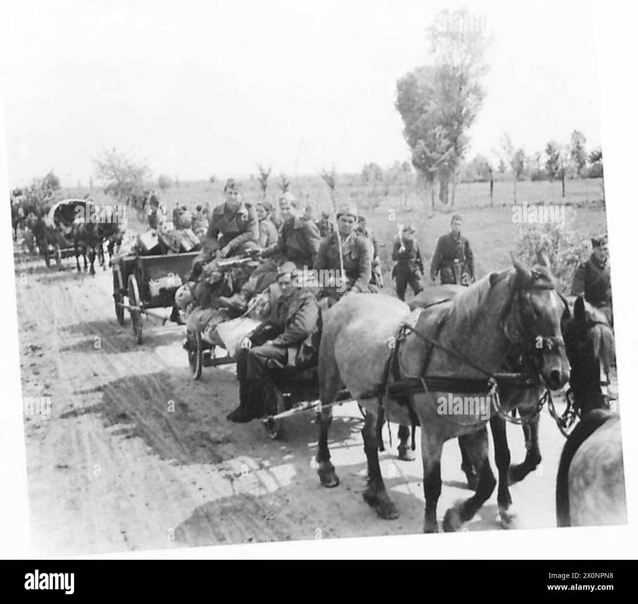 LES CHETNIKS SE RENDENT - transport Chetnik, principalement tiré par des chevaux, en mouvement. Négatif photographique, Armée britannique Banque D'Images