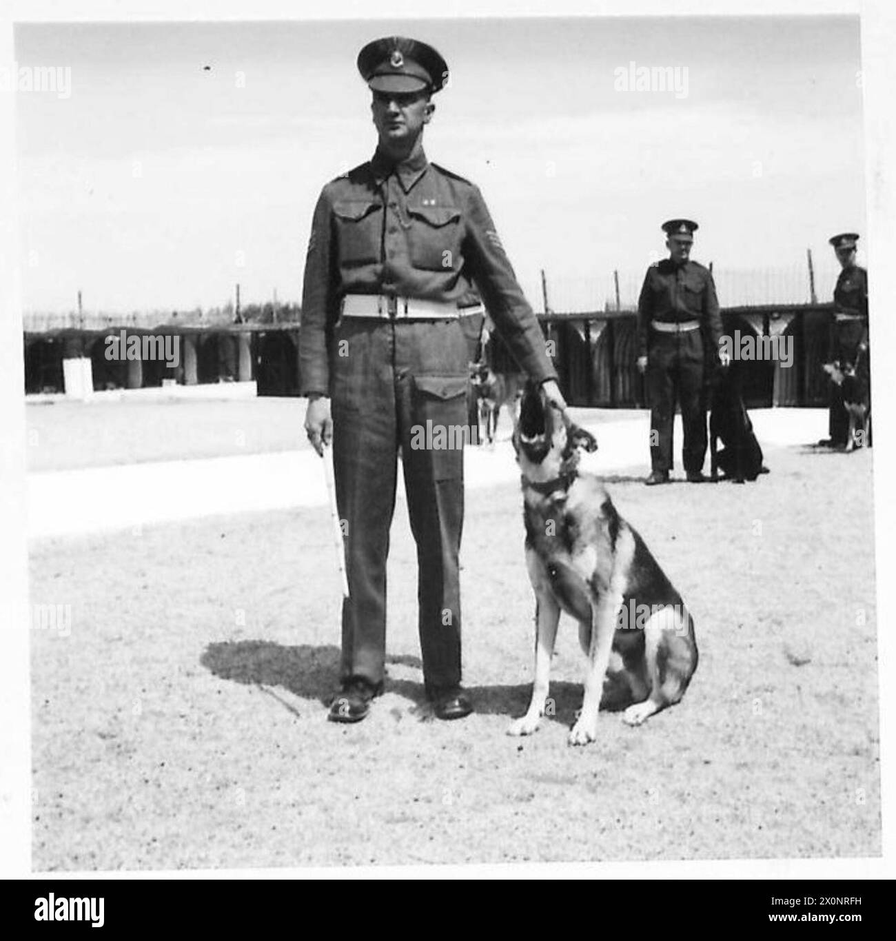 Le sergent A.E. Williams de Worsthorpe, Lancashire, est photographié avec son chien policier en Afrique du Nord. Banque D'Images